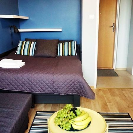 Dk Apartament Panorama Apartment Olsztyn  Ngoại thất bức ảnh